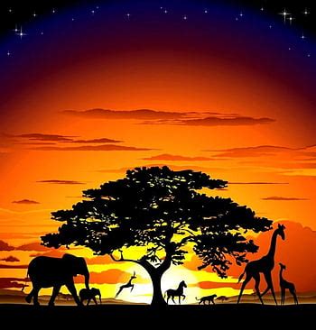 Africa Wallpaper Sunset