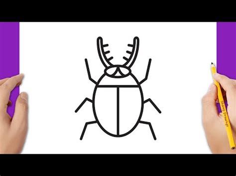 How to draw a beetle easy - YouTube