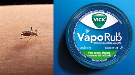 Cómo usar el vaporub como repelente para evitar picaduras de chinches y ...