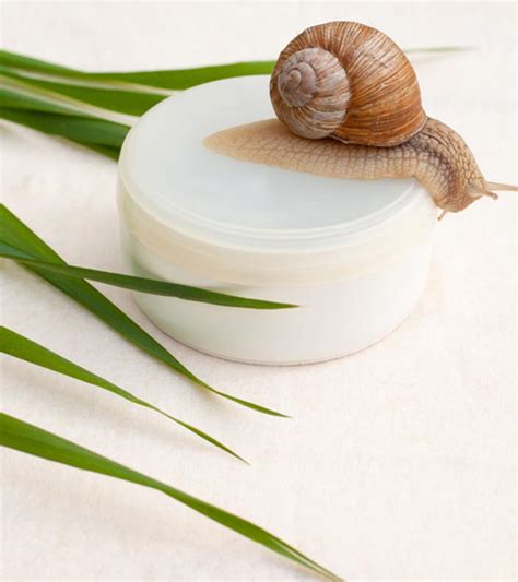 Snail Mucin For Skin: Uses, Benefits, & Side Effects