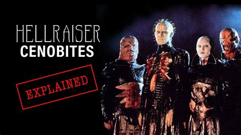 Hellraiser - Cenobites Explained - YouTube