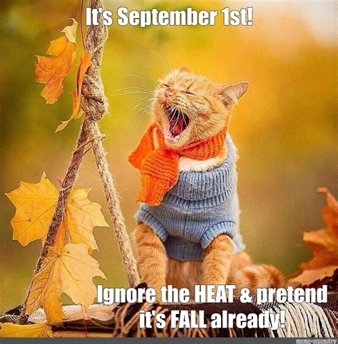 Create meme "autumn seals, autumn cats photo, autumn cat" - Pictures - Meme-arsenal.com