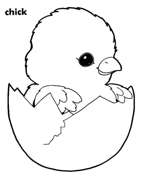 Adorable Chick Hatching Coloring Pages | Best Place to Color