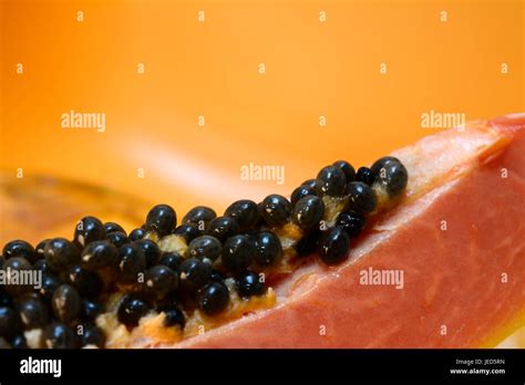 Papaya seeds close up Stock Photo - Alamy