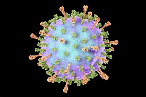 Mumps Virus Nucleoprotein (L-Zagreb) - The Native Antigen Company