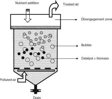 Fluidized Bed Bioreactor - Building Materials - Dr. Darrin Lew