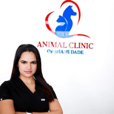 Animal Clinic in Miami | Veterinarian Near Me | Emergency Vet Near Me