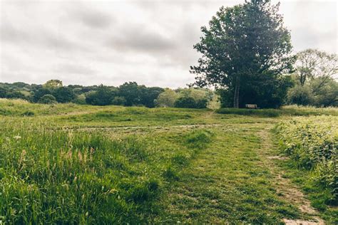 Explore Hampstead Heath With These Brilliant Self-Guided Walks