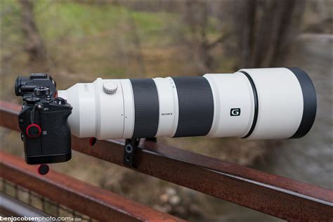 Sony 200-600mm review