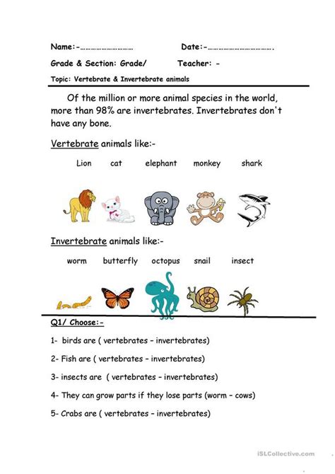 Vertebrate & Invertebrate - English ESL Worksheets for distance learning and physical classrooms