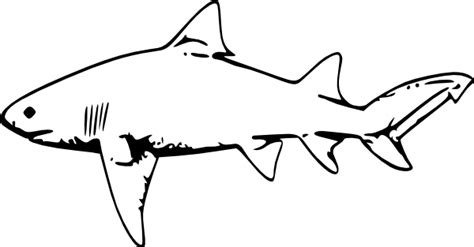 Free Great White Shark Clipart, Download Free Great White Shark Clipart png images, Free ...