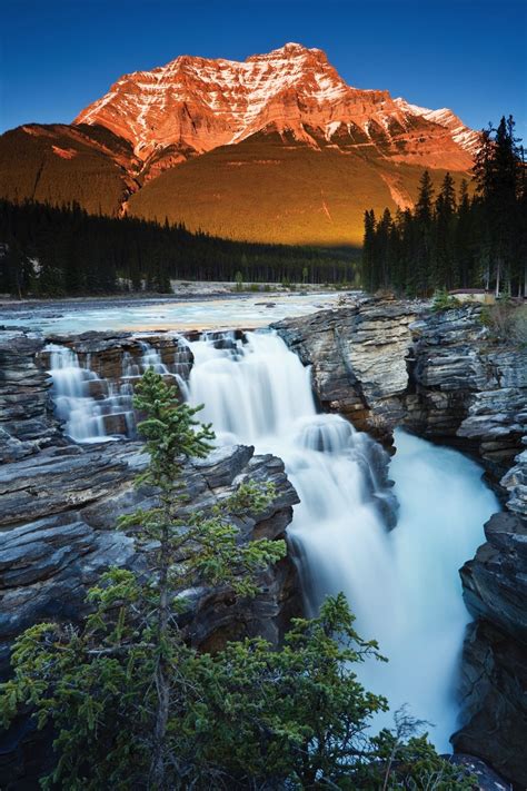 Athabasca Falls, Jasper National Park, Alberta, Canada | Waterfall, Beautiful waterfalls, Earth ...