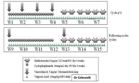 Metronomic chemotherapy protocol for Meduloblastoma/cerebral Primitive... | Download Scientific ...