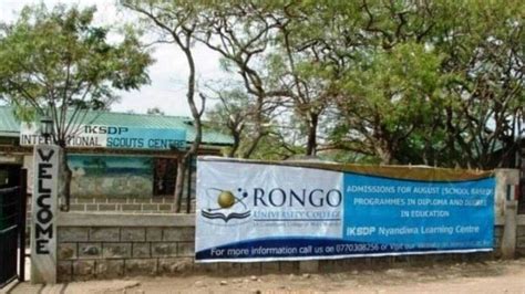 Rongo university college fee structure & courses offered - Tuko.co.ke