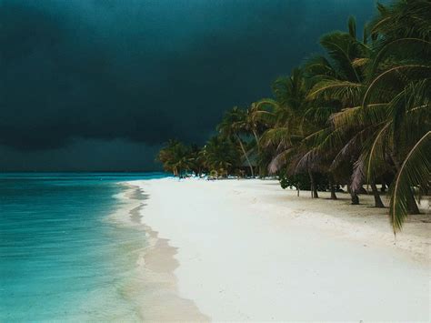 Download Storm Cloud Palm Tree Tropical Earth Photography Beach HD Wallpaper