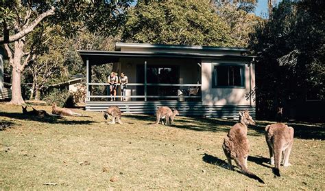 Depot Beach cabins | NSW National Parks