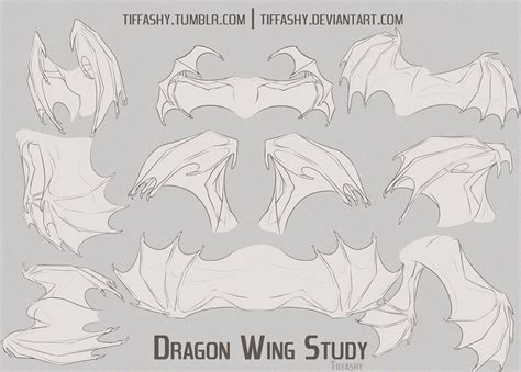 Dragon Wing Study/Tutorial by TIFFASHY on DeviantArt | Wings drawing, Wings art, Dragon sketch
