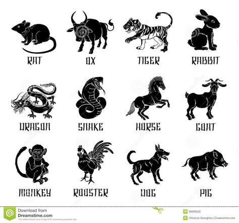 Chinese zodiac animal icons | Chinese zodiac, Chinese zodiac signs ...