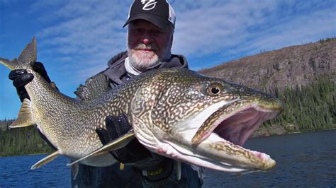 How To Spoon Lake Trout @ Great Bear Lake. Plummer's Arctic Lodges Part ...