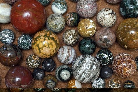 Polished rocks - Stock Image - C013/7543 - Science Photo Library