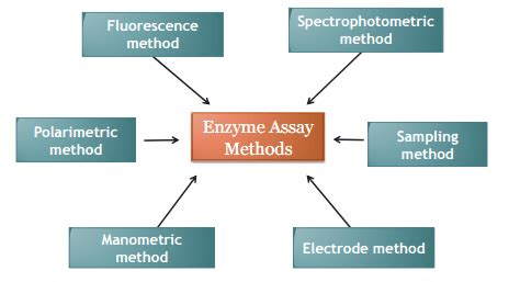 Enzyme Activity Assay Service