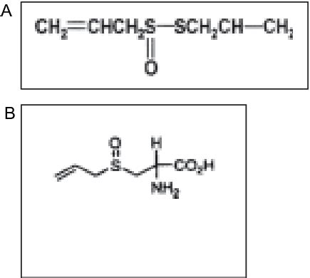 Structure of allicin; B: Structure of alliin. | Download Scientific Diagram