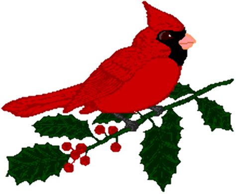 Download High Quality cardinal clipart christmas Transparent PNG Images ...