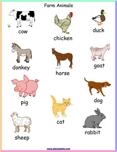 Pin by FBC on English language | Farm animals preschool, Animal ...