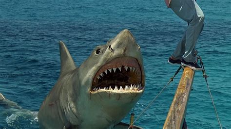 Jaws: The Revenge Movie Review and Ratings by Kids