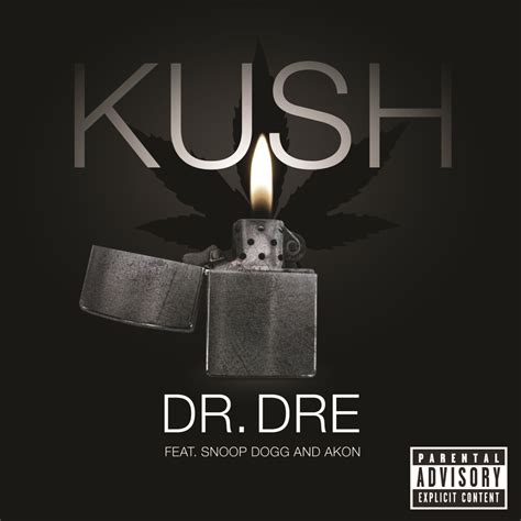 Dr. Dre's 'Detox' Releases February, 2011 | HipHop-N-More