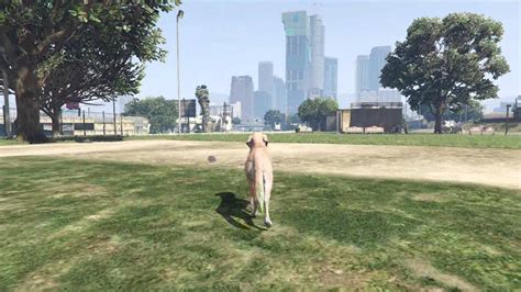 GTA 5 : How to Be a Dog on Next Gen! (GTA 5 NEXT GEN) - YouTube