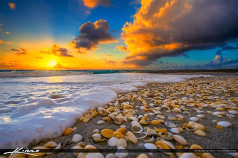 Shells on Beach During Florida Sunrise – HDR Photography by Captain Kimo