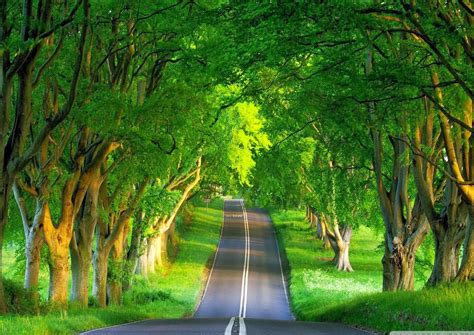 Beautiful Nature Places In Uae - Photos