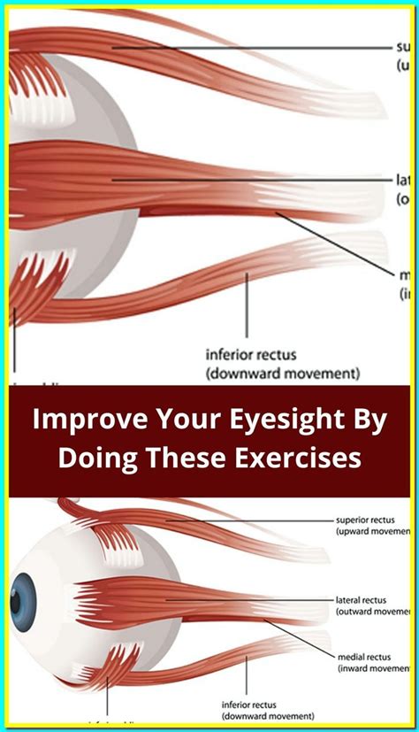 Spend 5 minutes a day doing these 5 exercises and watch your eyesight ...