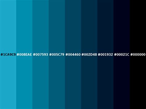 Pacific blue color (Hex 1CA9C9)