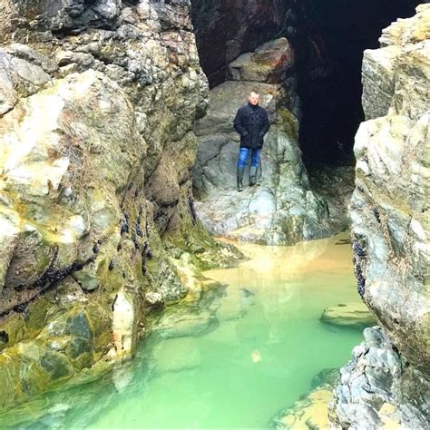 Exploring Chapel Porth beach this past weekend we came across the most ...