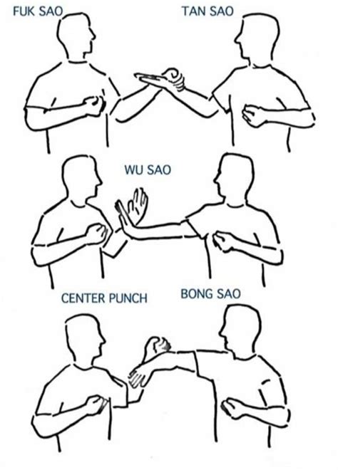 Basic Wing Chun hand positions. | Wing chun martial arts, Martial arts ...