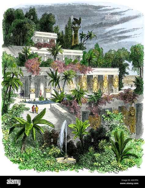 The Hanging Gardens Of Babylon Ruins