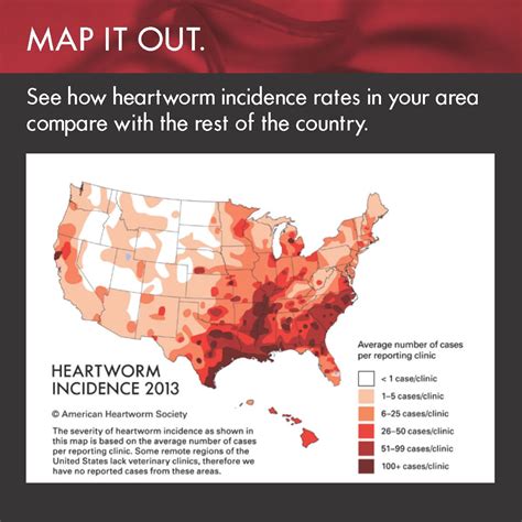 American Heartworm Society - Incidence Map shows the high risk of Heartworm Disease in Northwest ...