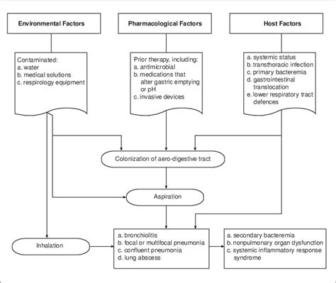 Hospital-Acquired Pneumonia (HAP) Pneumonia Respiratory, 45% OFF