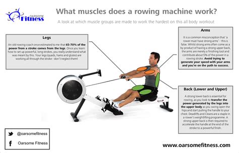 Muscles Used In Rowing Machine - MACHINE PWH