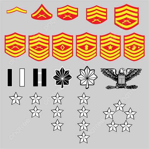 Us Marine Corps Rank Insignia Captain Rank Epaulet Vector, Captain, Rank, Epaulet PNG and Vector ...