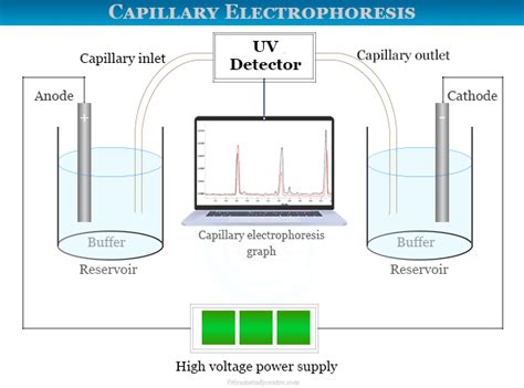 Capillary Electrophoresis - Principle, Instrument, Application