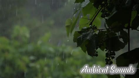 Rain / Storm Sounds - Ambient Relax