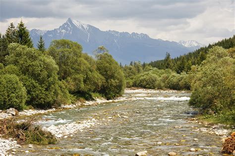 Best Locations and Rivers for Flyfishing in Slovakia