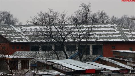 Light snowfall in Srinagar - Social News XYZ