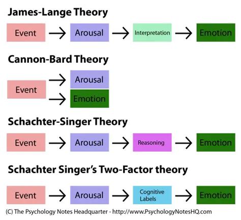 Quick question about Schachter-Singer theory? : r/Mcat