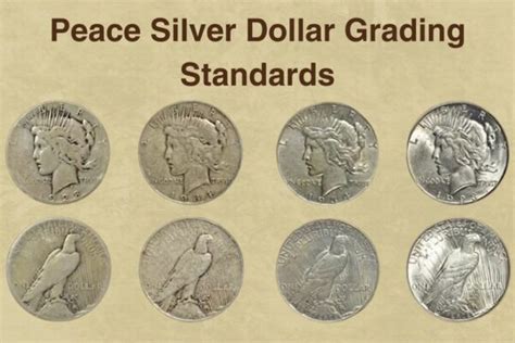 How to Grade Peace Silver Dollar? - CoinValueChecker.com