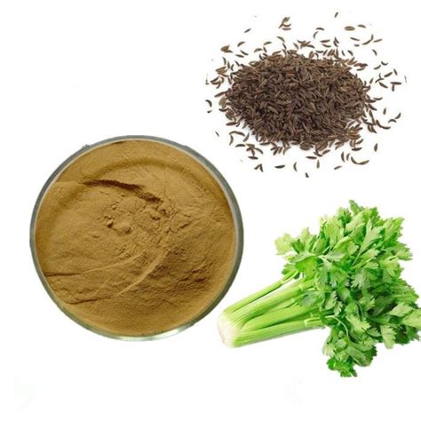 Celery Seed Extract - manufacturer - undersun