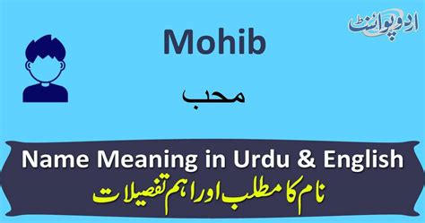 Mohib Name Meaning in Urdu - محب - Mohib Muslim Boy Name